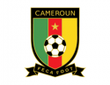 Fudbalska reprezentacija Kameruna